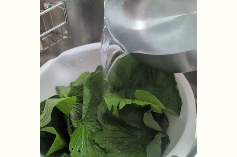    【静岡市】商品開発をキッチン付きレンタルスペースで！わさび農家さんとの試作風景＆新商品誕生のお話♪   