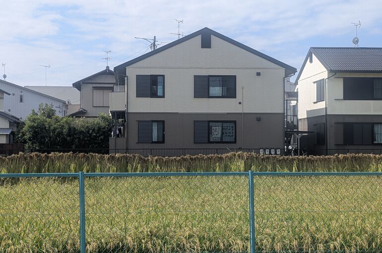    秋晴れの青空と黄金色の稲刈り♪アトリエの大きな窓から届く秋の便り   